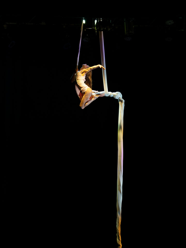 Fotografía de artes escénicas