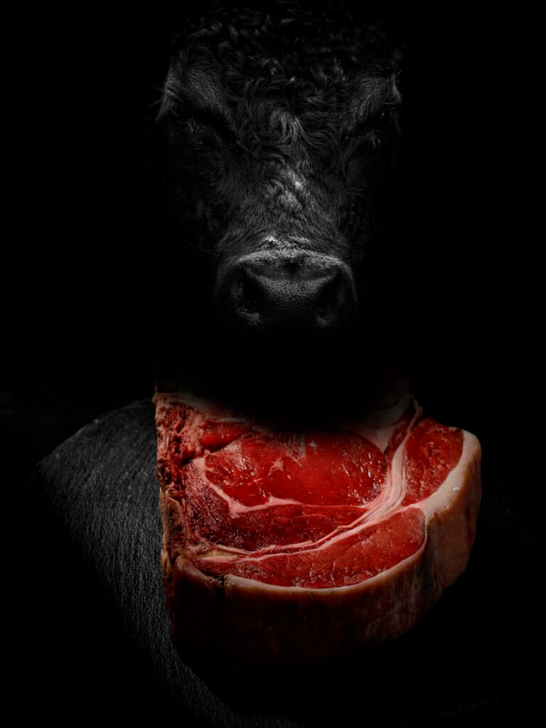 Fotografía de producto vacuno